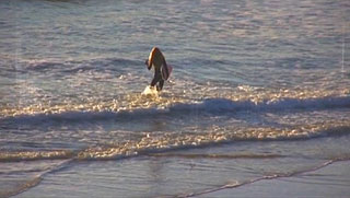 Female surfer walks into the ocean