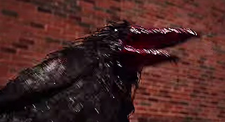 A crow covered in blood