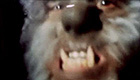 Close-up of a wolfman growling