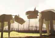 Two cows made out of cardboard