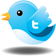 The Twitter bird flying