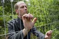 Scars of Youth Man peers through chain link fence in a forest