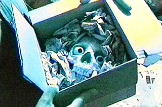 Skull with eyeballs packed into a cardboard box