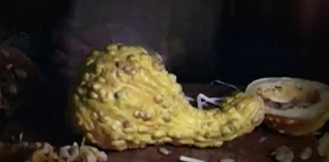 The Squash A giant yellow squash