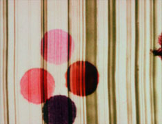 Film still from Swinging the Lambeth Walk featuring abstract dots against striped background