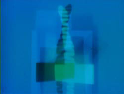 Film Still for Celery Stalks at Night featuring an abstract green shape